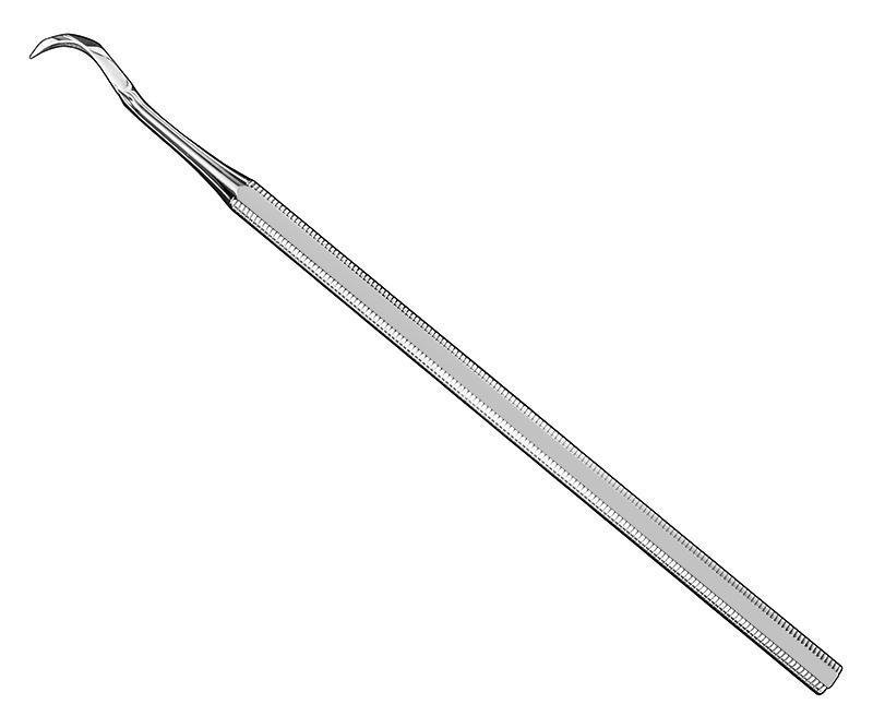Provisional prosthesis lifter