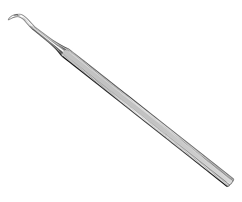 Provisional prosthesis lifter