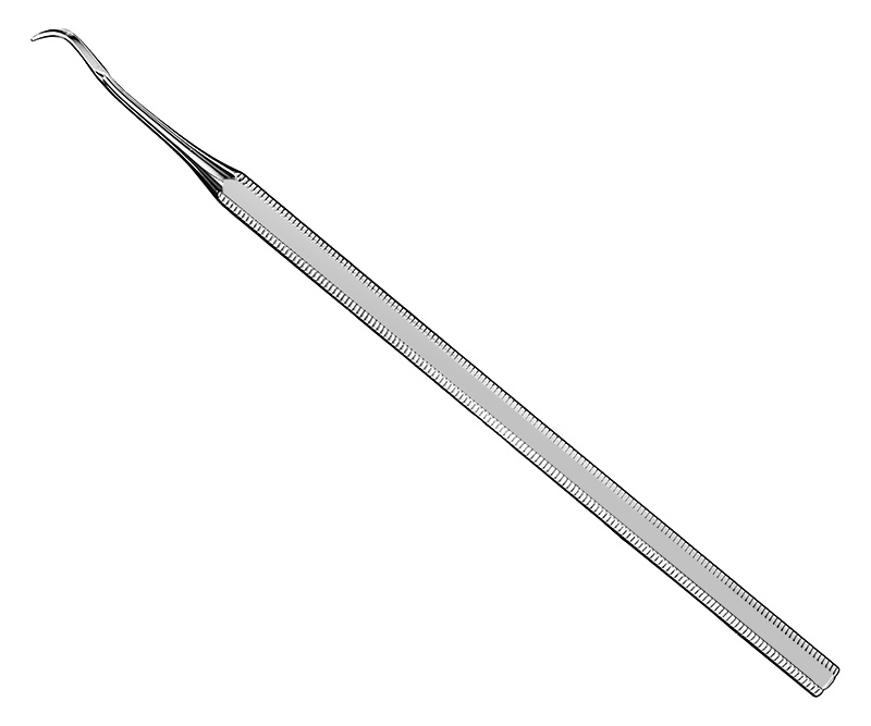 Provisional prosthesis lifter