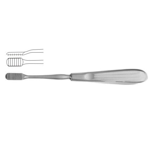 Lewis Nasal Rasp
