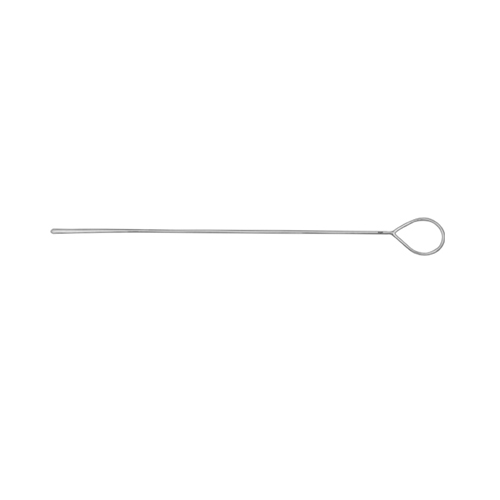 Probe Flattened End